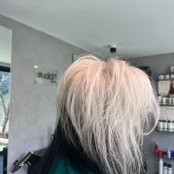 WhatsApp Image 2022-10-03 at 11.52.11